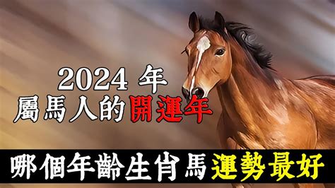 屬馬五行|屬馬的五行屬什麼？深入解析馬年的生肖特性與五行關係